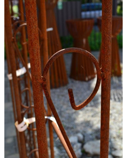 Wall rose arch HOLLAND lily tip