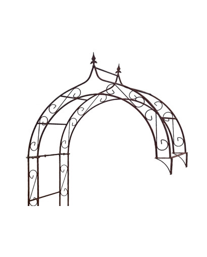 Wall rose arch HOLLAND lily tip