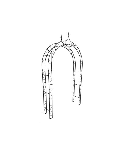 Rose arch HOLLAND Lily tip
