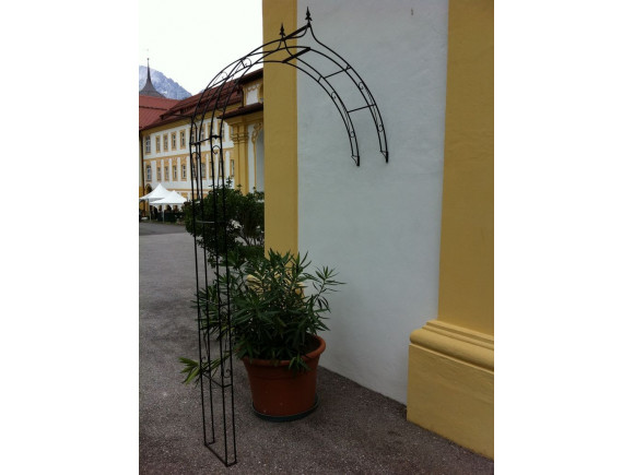 Wandrosenbogen Innsbruck