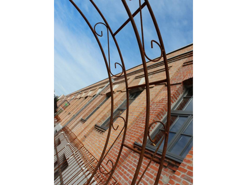 Wandrosenbogen HOLLAND Rund