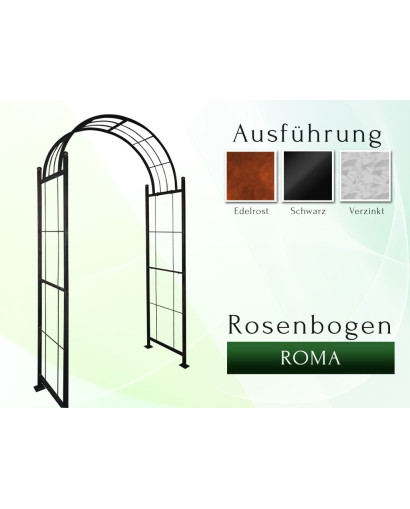 Rose arch Roma