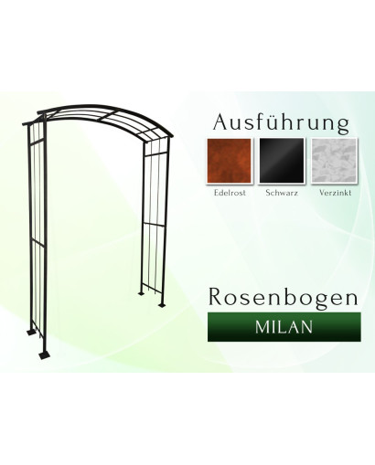 Rose arch Milan