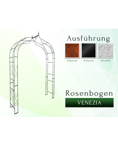 Rose arch VENEZIA