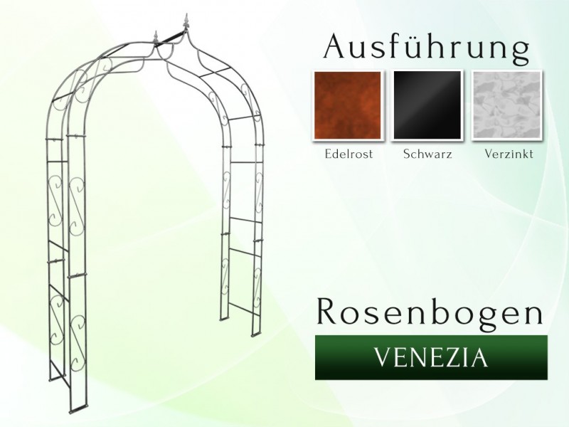 Rosenbogen VENEZIA