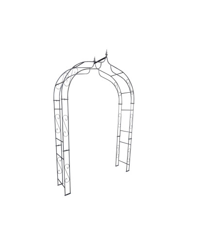 Rose arch VENEZIA