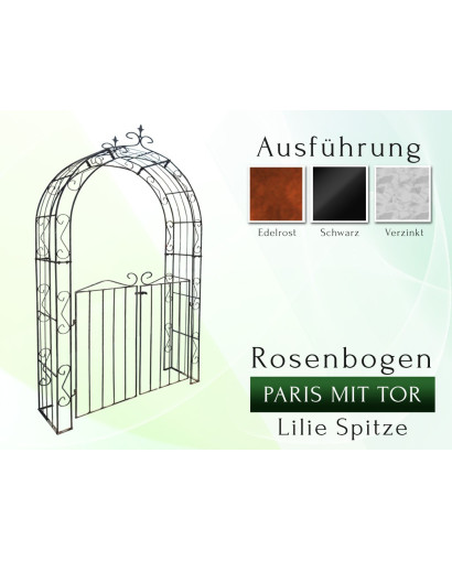 Rosenbogen PARIS Lilie Spitze B 1,20 m, mit Tür H 1,20 m