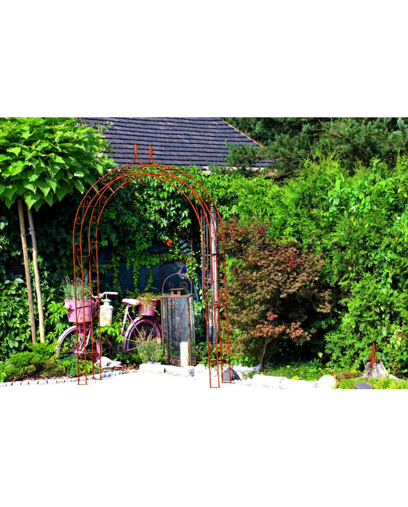 Rose arch HOLLAND Lily tip