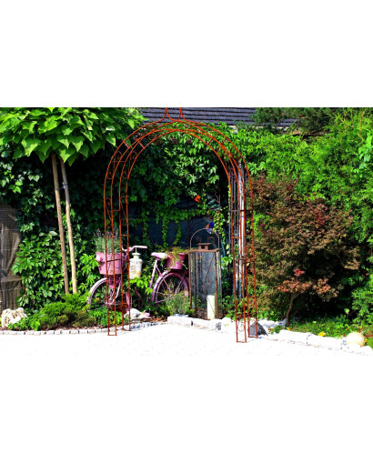 Rose arch HOLLAND Lily tip