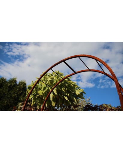 Rose arch Liechtenstein