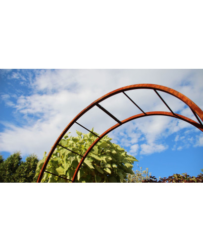 Rose arch Liechtenstein