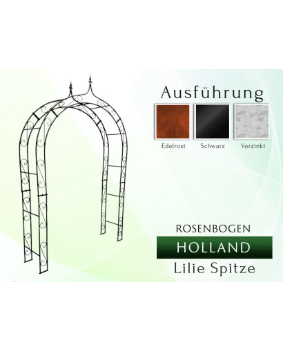 Rose arch HOLLAND Lily tip
