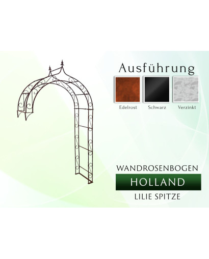 Wall rose arch HOLLAND lily tip