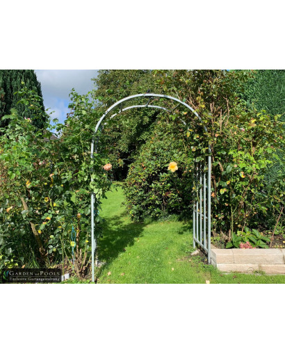 Rose Arch Basel