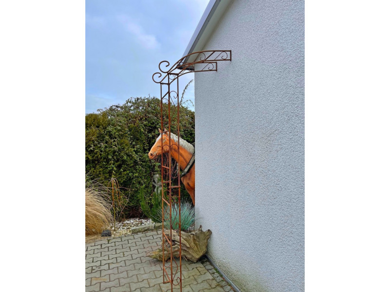 Wandrosenbogen Chamonix