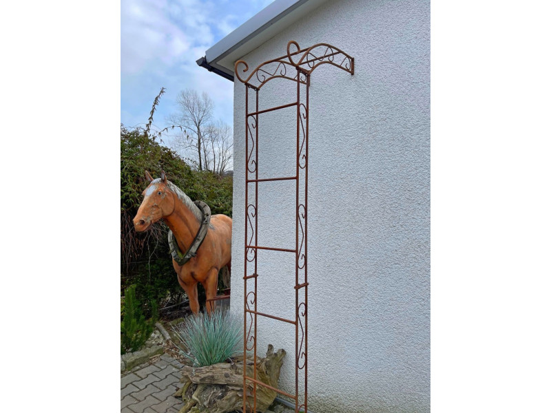 Wandrosenbogen Chamonix