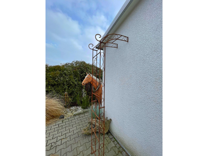 Wandrosenbogen Chamonix