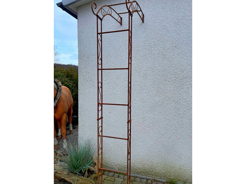 Wandrosenbogen Chamonix