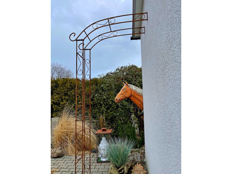 Wandrosenbogen Chamonix