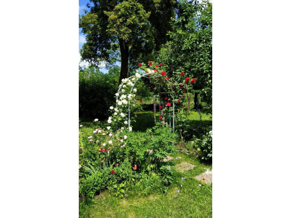 Rosenbogen Basel