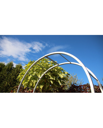 Rose arch Luxembourg
