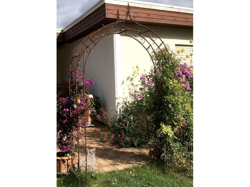 Rosenbogen HOLLAND BIG Lilie Spitze