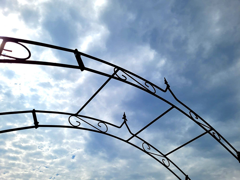 Rosenbogen HOLLAND BIG Lilie Spitze