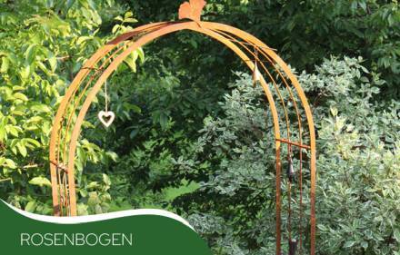 Rosenbogen
